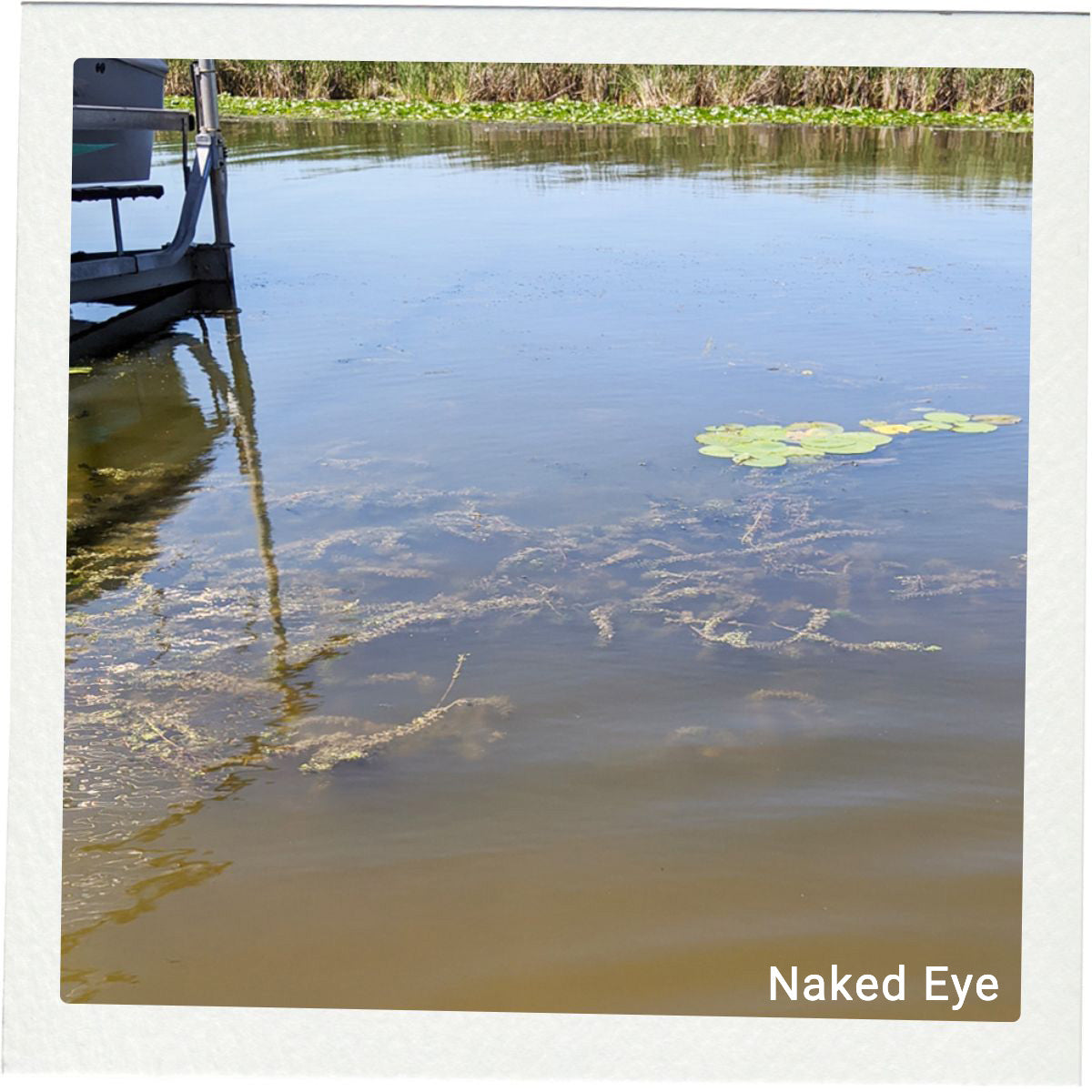 Naked Eye Polaroid.jpg